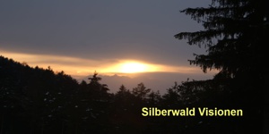 Silberwaldvisionen - Schwazer Silberwald